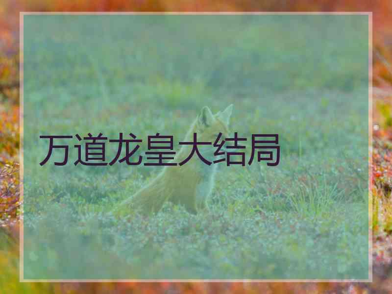 万道龙皇大结局