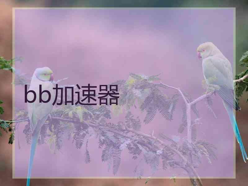 bb加速器