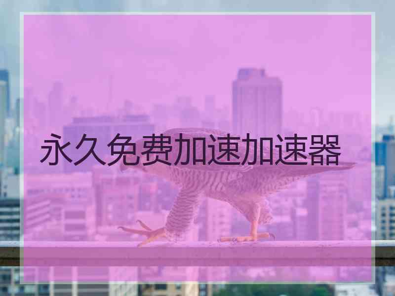 永久免费加速加速器