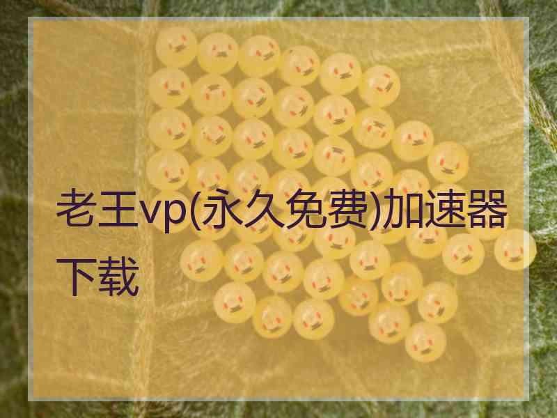 老王vp(永久免费)加速器下载