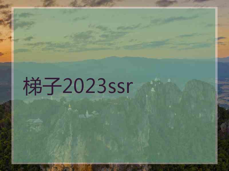 梯子2023ssr