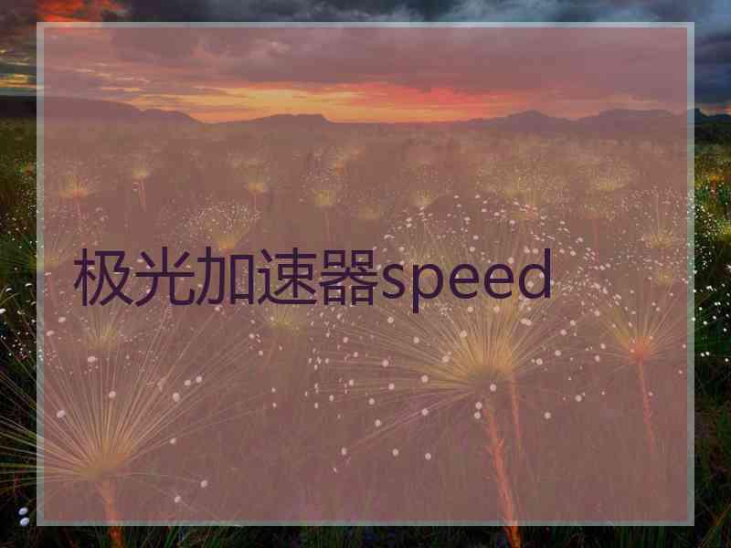极光加速器speed