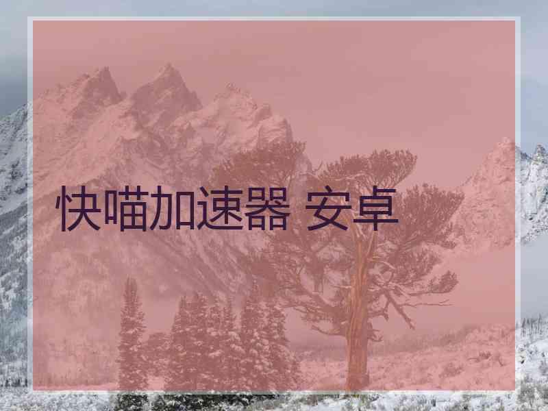 快喵加速器 安卓