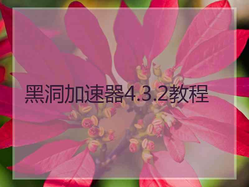黑洞加速器4.3.2教程