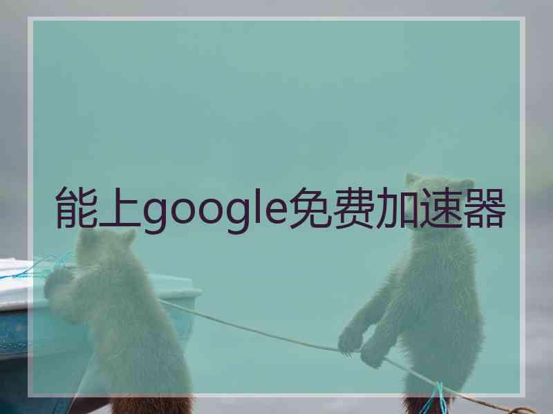 能上google免费加速器