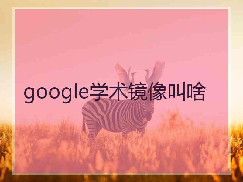 google学术镜像叫啥