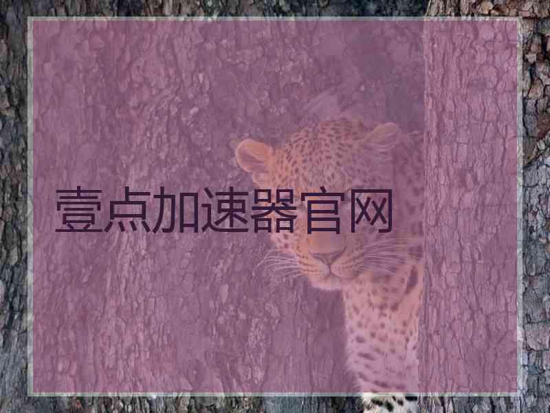 壹点加速器官网