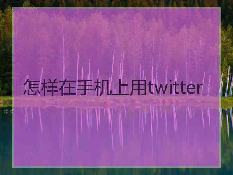 怎样在手机上用twitter
