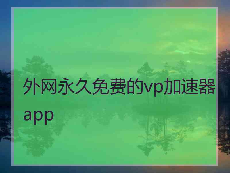 外网永久免费的vp加速器app