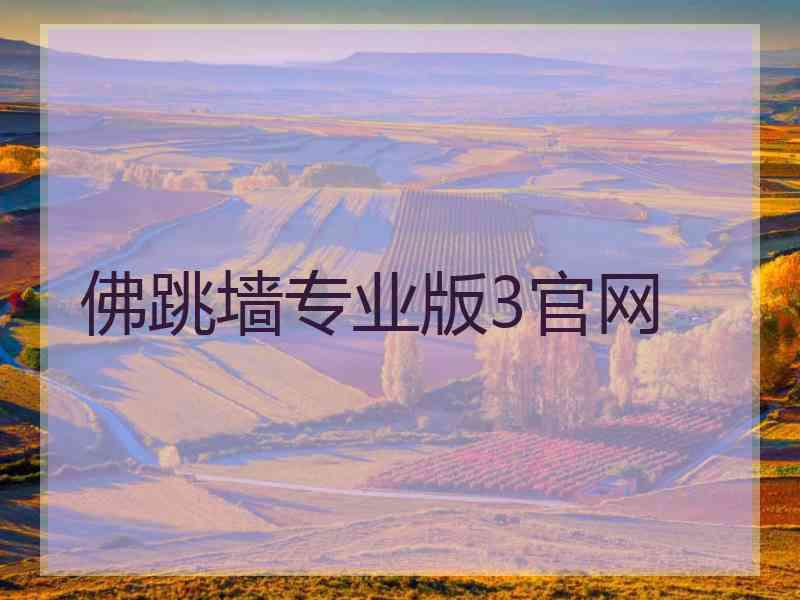 佛跳墙专业版3官网
