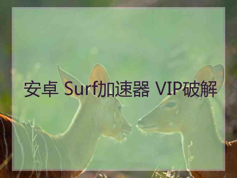 安卓 Surf加速器 VIP破解