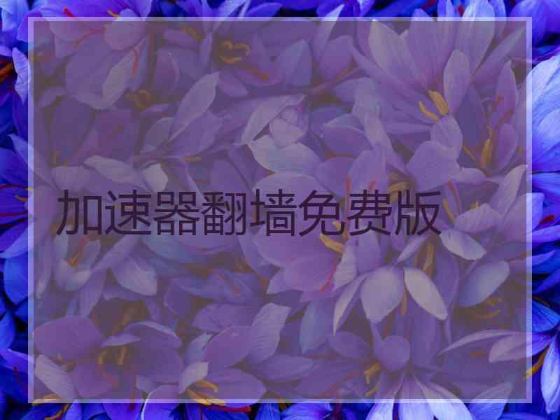 加速器翻墙免费版