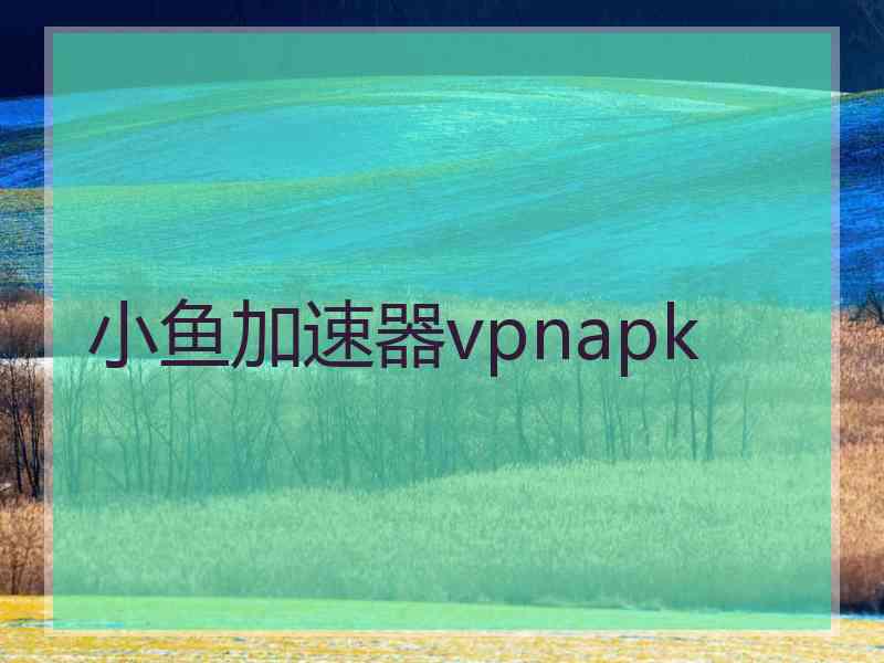 小鱼加速器vpnapk