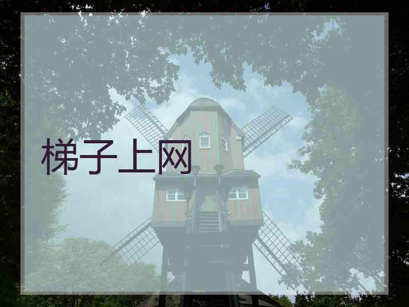 梯子上网