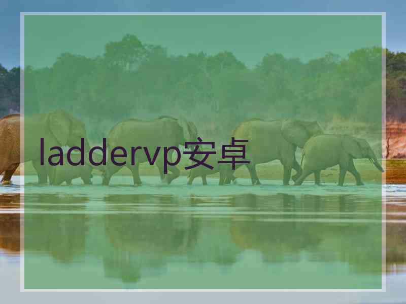 laddervp安卓