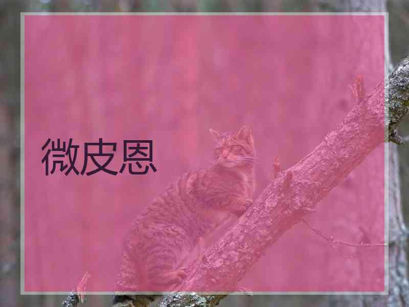 微皮恩