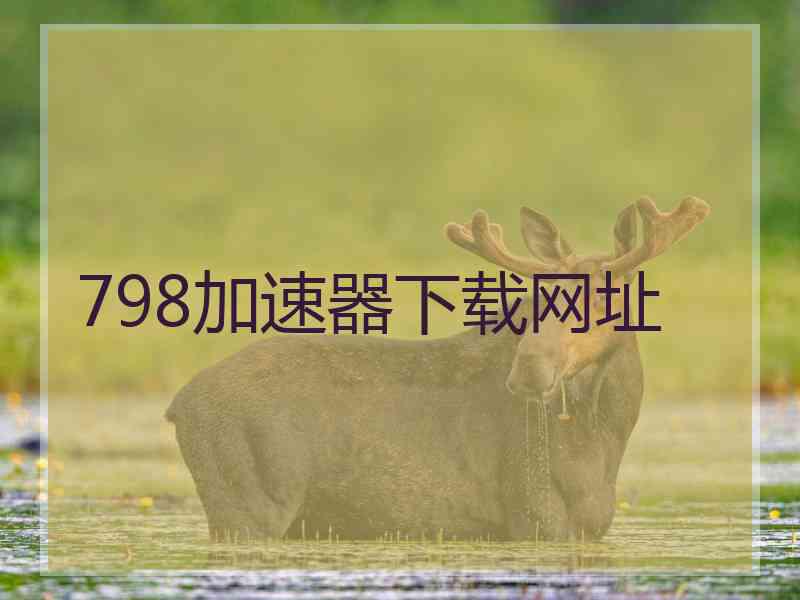 798加速器下载网址