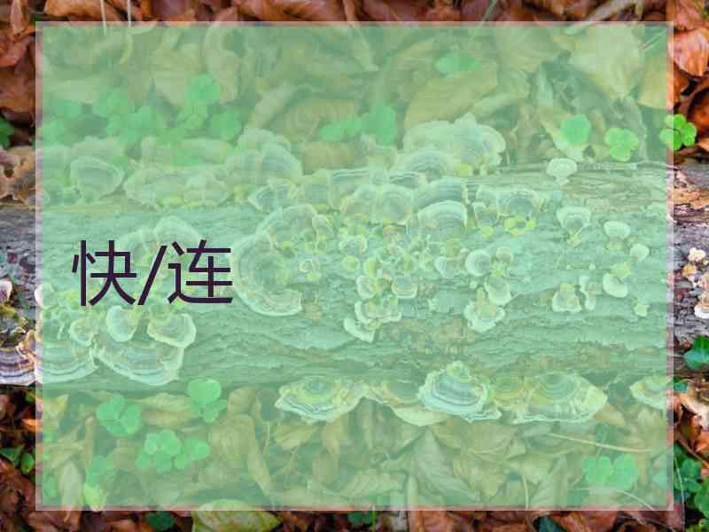 快/连