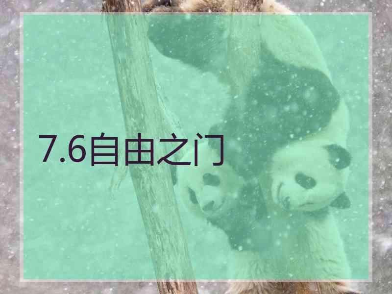 7.6自由之门