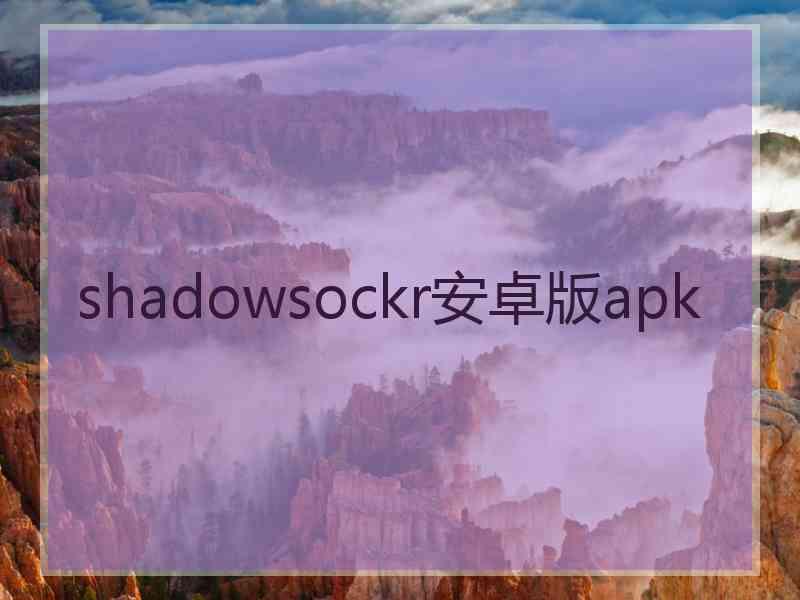 shadowsockr安卓版apk