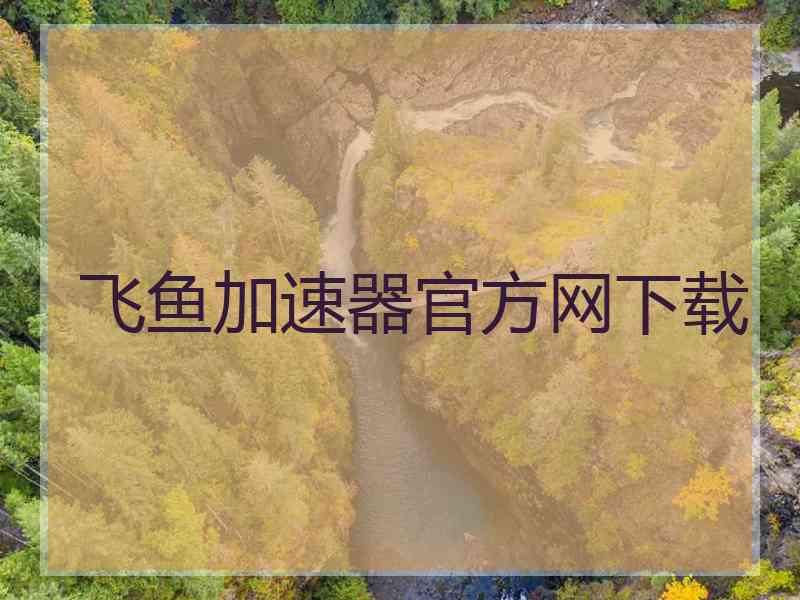飞鱼加速器官方网下载