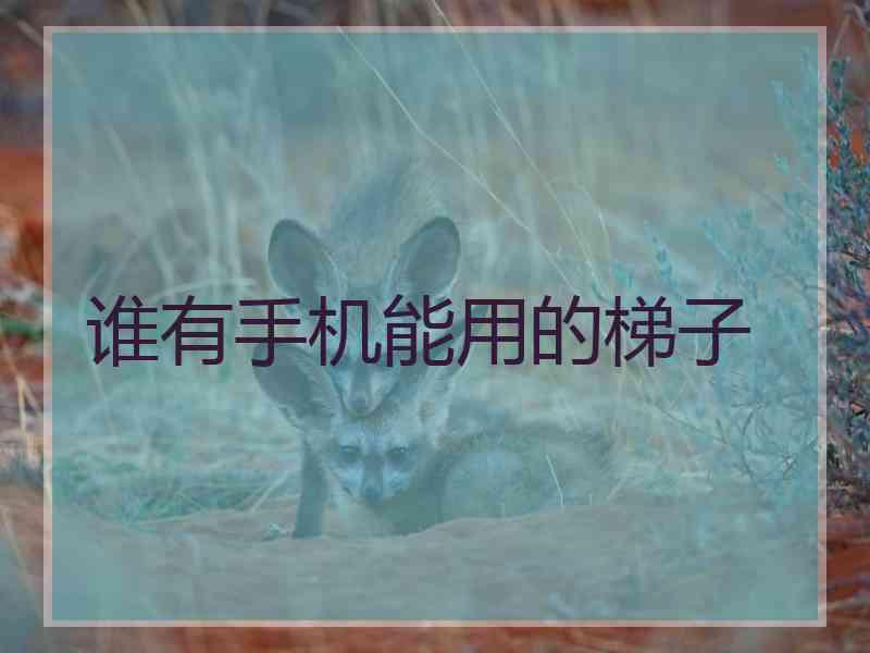 谁有手机能用的梯子