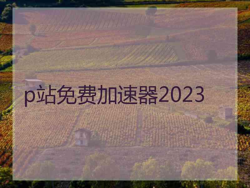 p站免费加速器2023