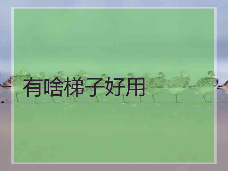 有啥梯子好用