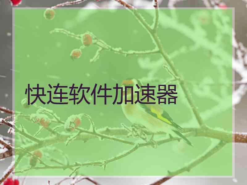 快连软件加速器