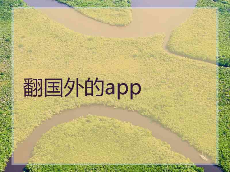 翻国外的app
