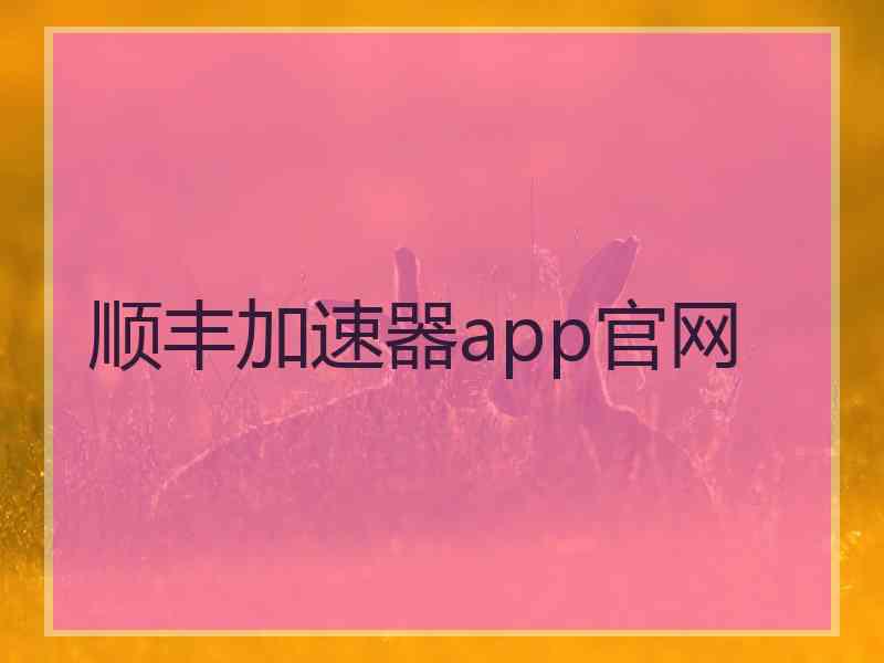 顺丰加速器app官网