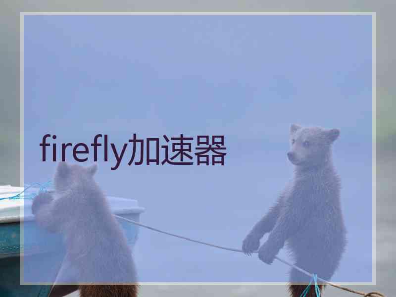 firefly加速器
