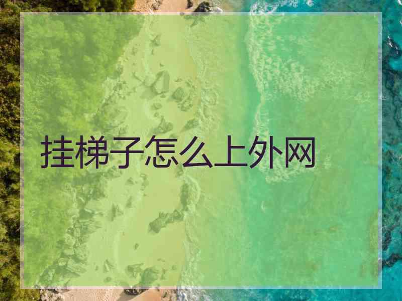 挂梯子怎么上外网