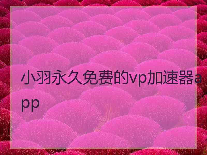 小羽永久免费的vp加速器app