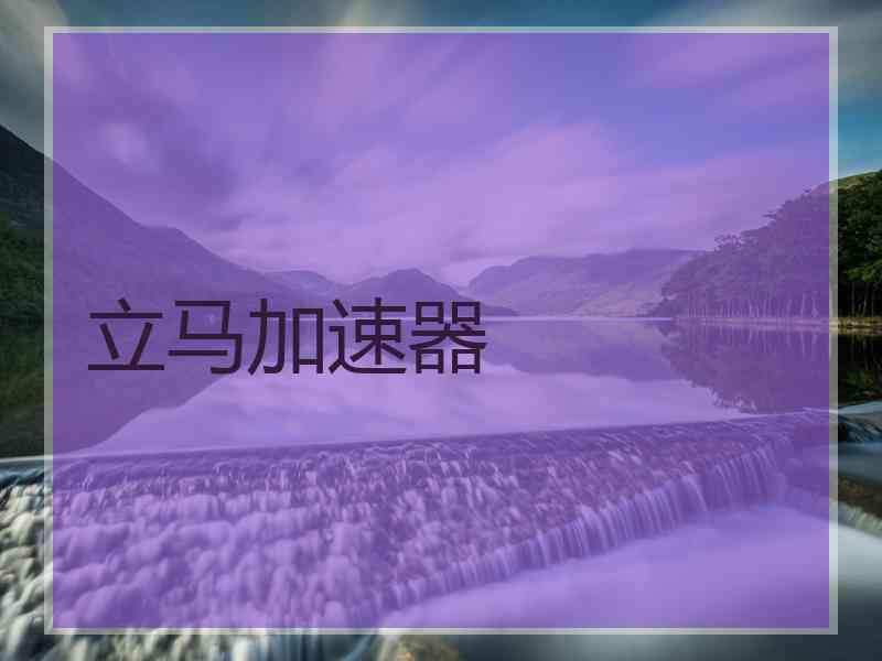 立马加速器