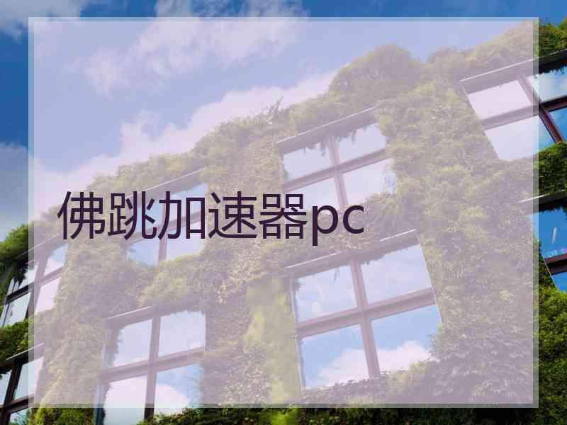 佛跳加速器pc