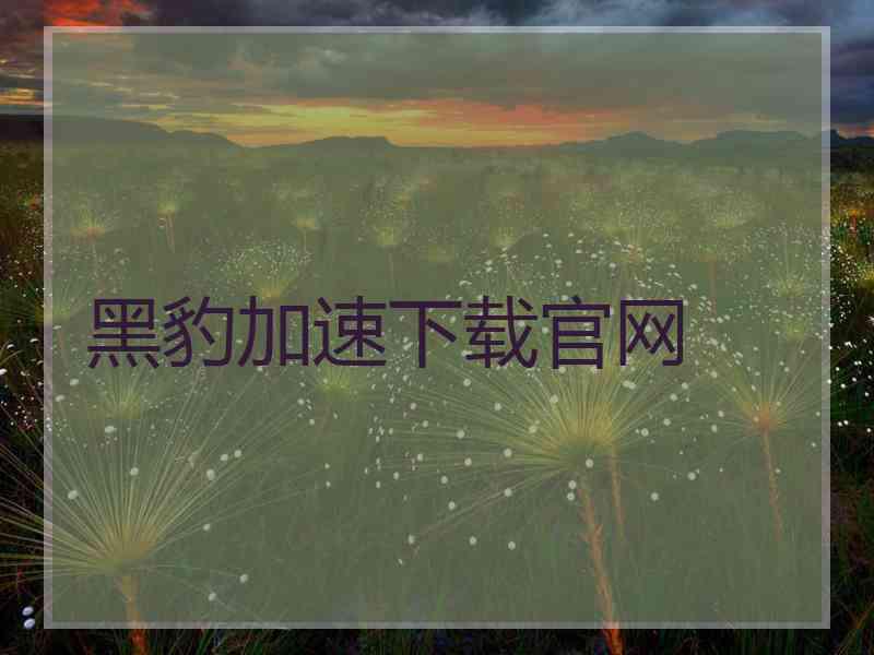 黑豹加速下载官网