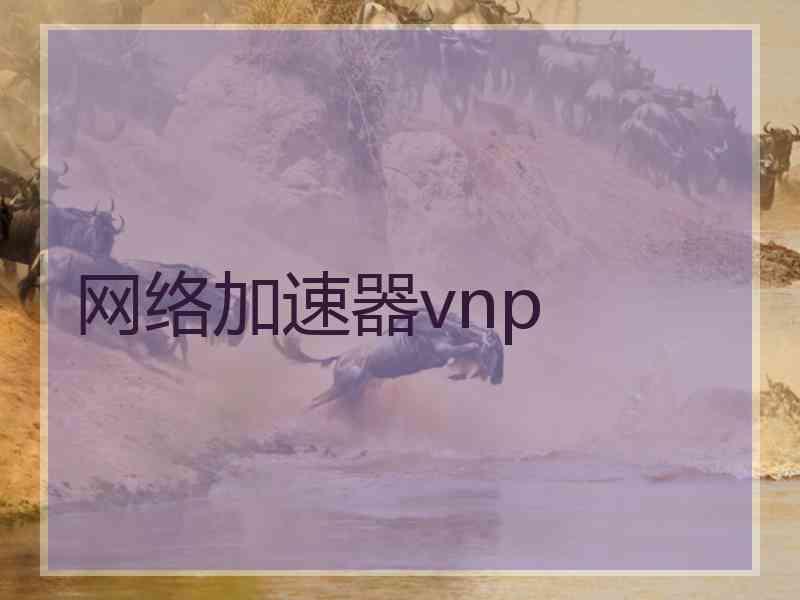网络加速器vnp