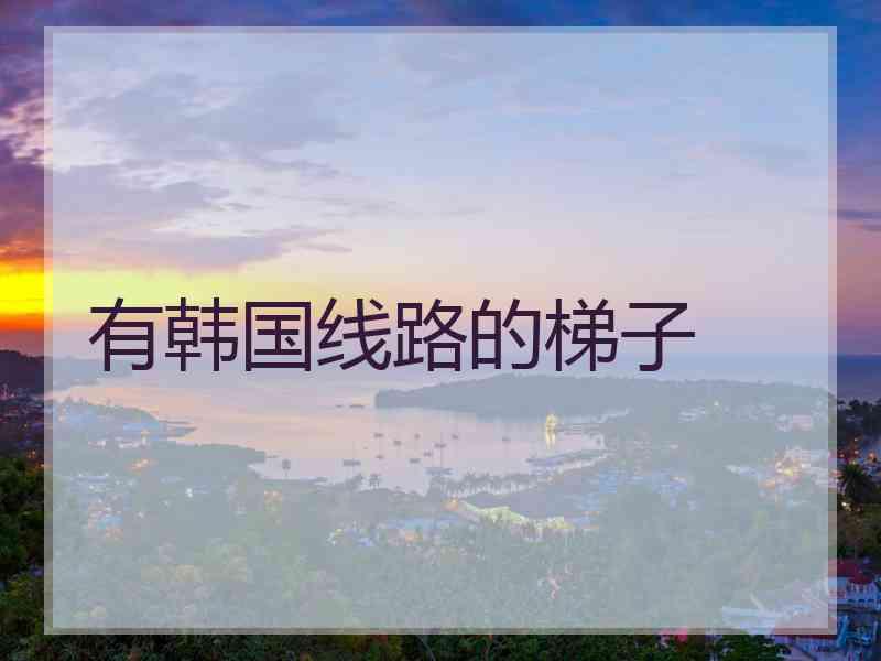 有韩国线路的梯子