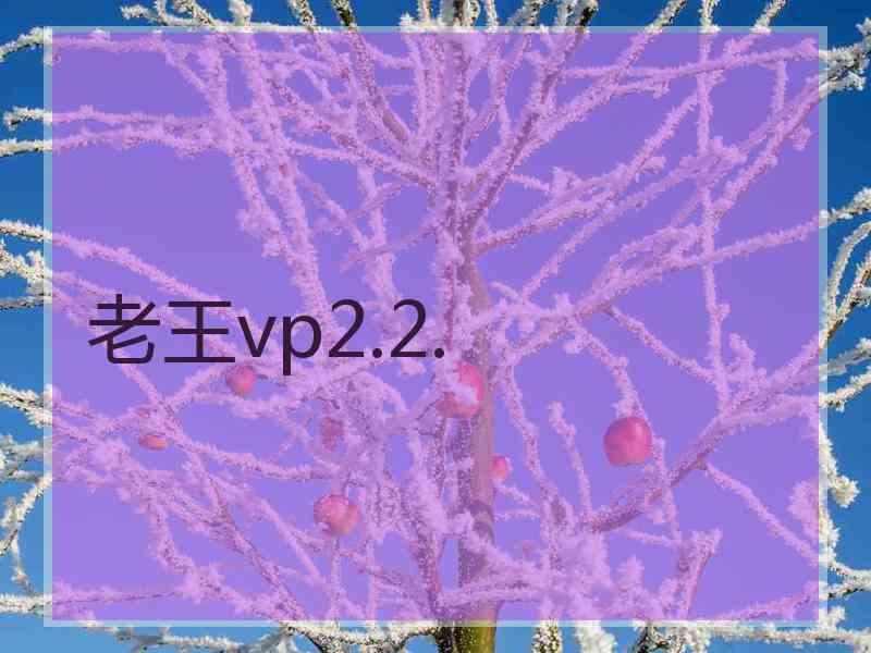 老王vp2.2.