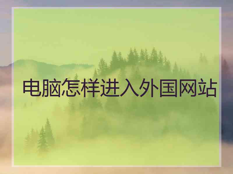 电脑怎样进入外国网站