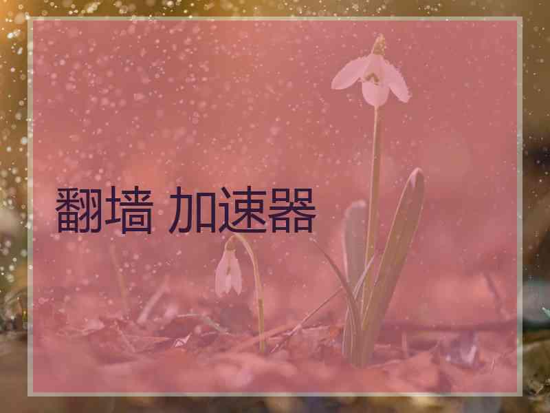 翻墙 加速器