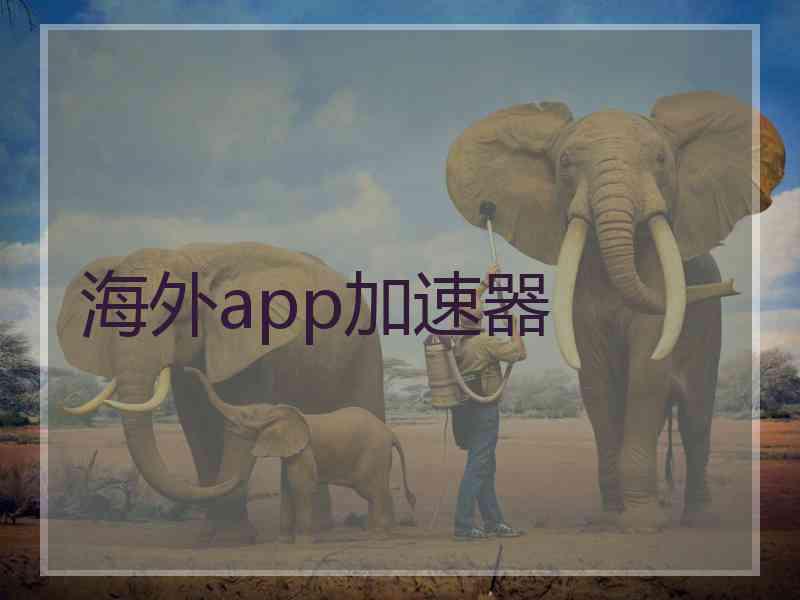 海外app加速器