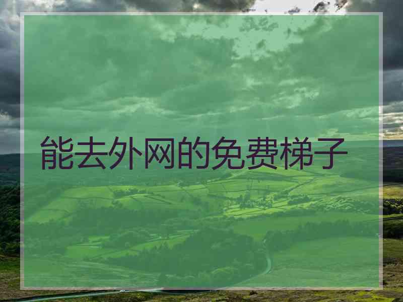 能去外网的免费梯子