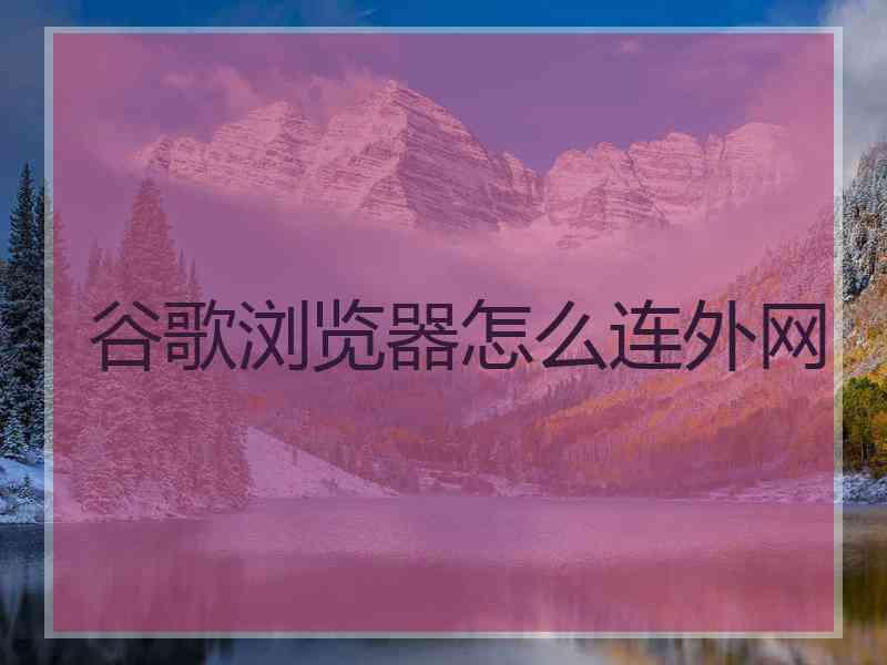 谷歌浏览器怎么连外网