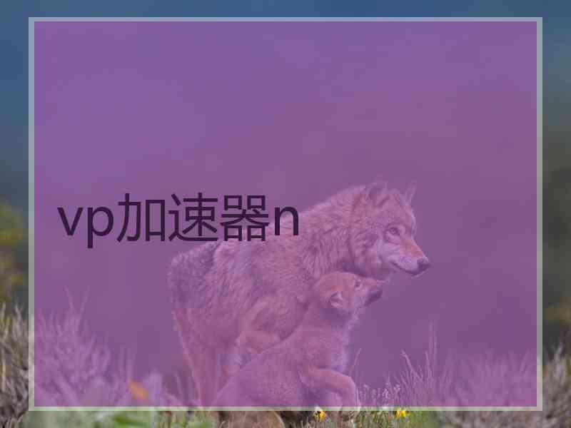 vp加速器n