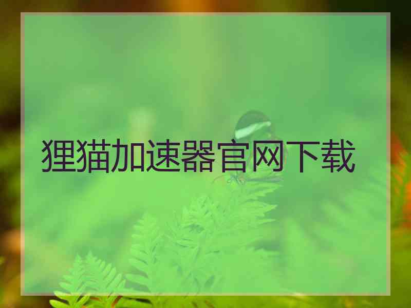 狸猫加速器官网下载