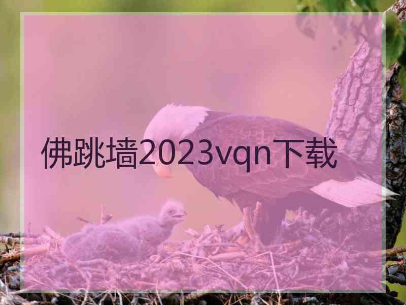 佛跳墙2023vqn下载