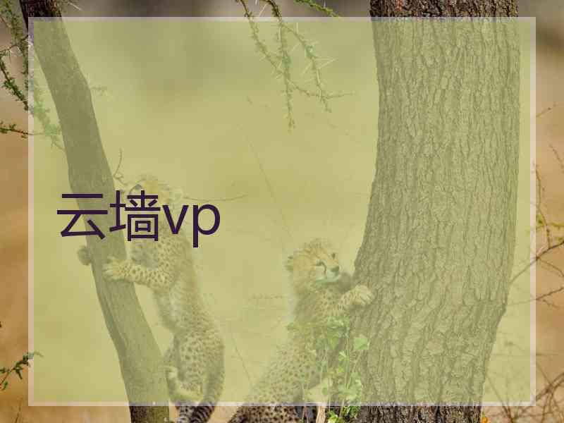 云墙vp