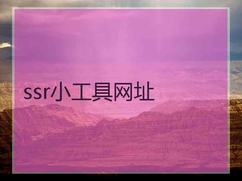 ssr小工具网址